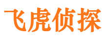 于洪外遇出轨调查取证